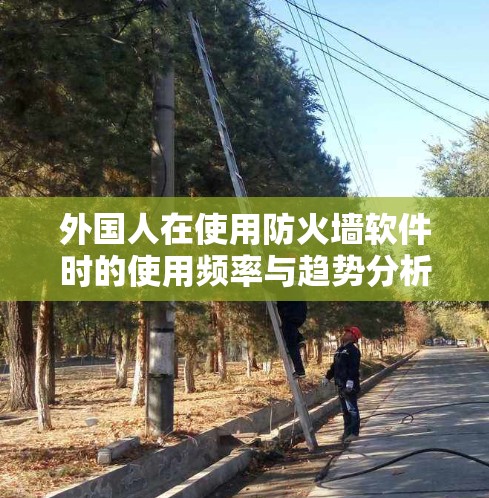 外国人在使用防火墙软件时的使用频率与趋势分析 外国人在使用防火墙软件时的使用频率与趋势分析