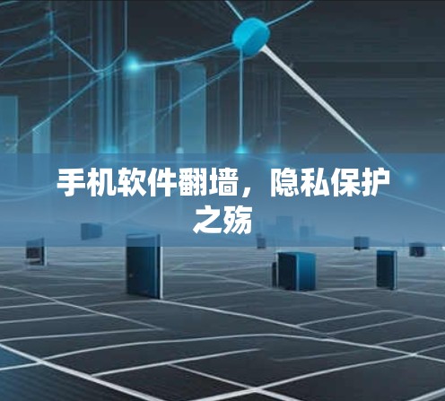 手机软件<strong>翻墙</strong>，隐私保护之殇