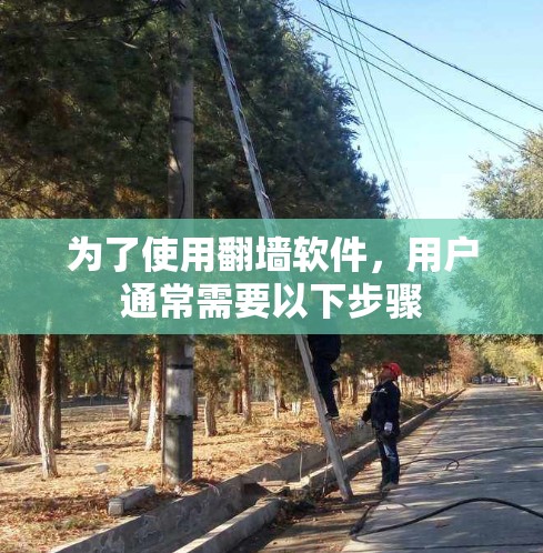 为了使用<strong>翻墙</strong>软件，用户通常需要以下步骤