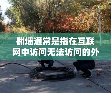 翻墙通常是指在互联网中访问无法访问的外部网络,例如通过VPN、防火墙或其他技术手段。如果您的软件需要通过翻墙才能使用,通常情况下,以下几种情况可能会发生 翻墙通常是指在互联网中访问无法访问的外部网络,例如通过VPN、防火墙或其他技术手段。如果您的软件需要通过翻墙才能使用,通常情况下,以下几种情况可能会发生