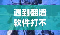 遇到翻墙软件打不开的问题,可以按照以下步骤进行解决 遇到翻墙软件打不开的问题,可以按照以下步骤进行解决