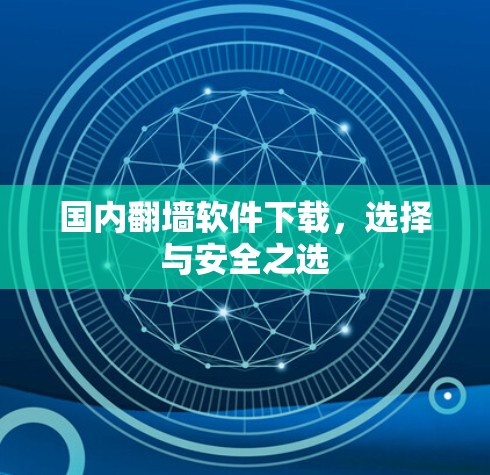 国内<strong>翻墙</strong>软件下载，选择与安全之选