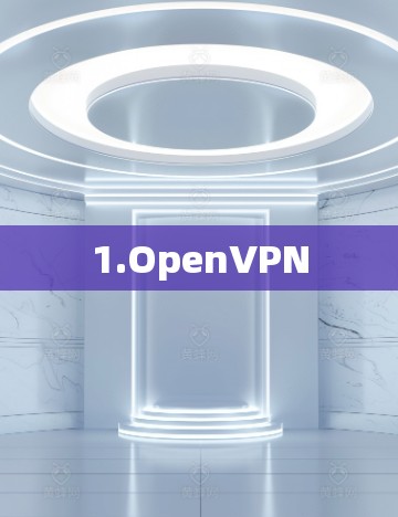 1.OpenVPN