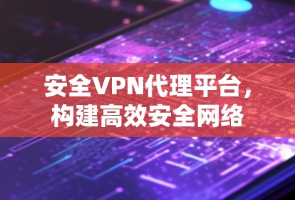 安全VPN代理平台，构建高效安全网络
