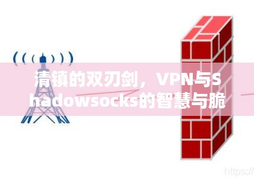 清镇的双刃剑，VPN与Shadowsocks的智慧与脆弱