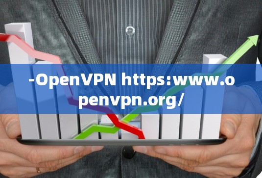 -OpenVPN https:www.openvpn.org/ -OpenVPN https:www.openvpn.org/
