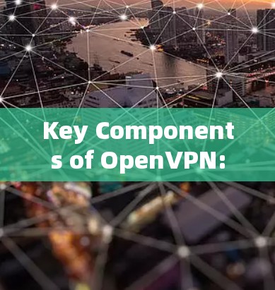 Key Components of OpenVPN: Key Components of OpenVPN: