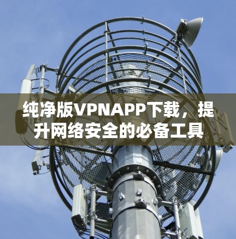 纯净版VPNAPP下载，提升网络安全的必备工具