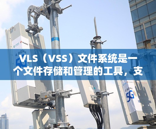 VLS（VSS）文件系统是一个文件存储和管理的工具，支持文件扩展、合并、分割、权限设置等操作。以下是VLSL配置的详细步骤