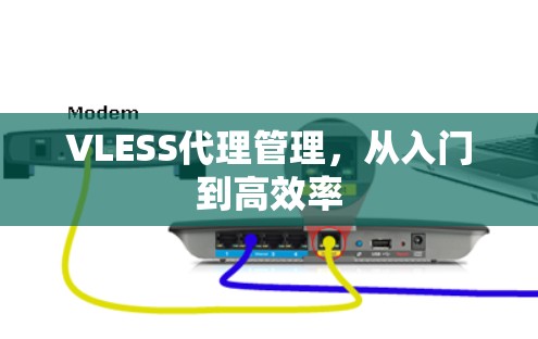 VLESS代理管理,从入门到高效率 VLESS代理管理,从入门到高效率