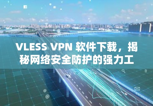 VLESS VPN 软件下载，揭秘网络安全防护的强力工具