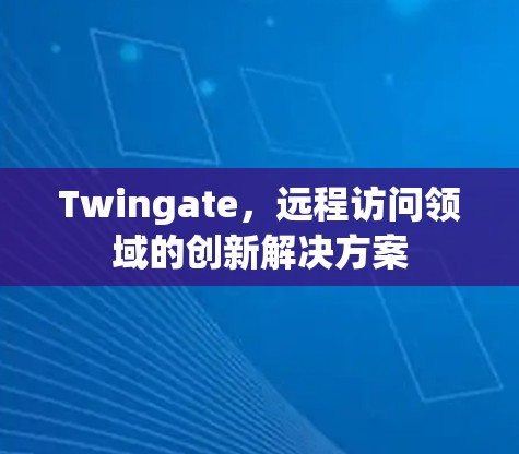 Twingate，远程访问领域的创新解决方案