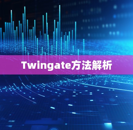 Twingate方法解析 Twingate方法解析
