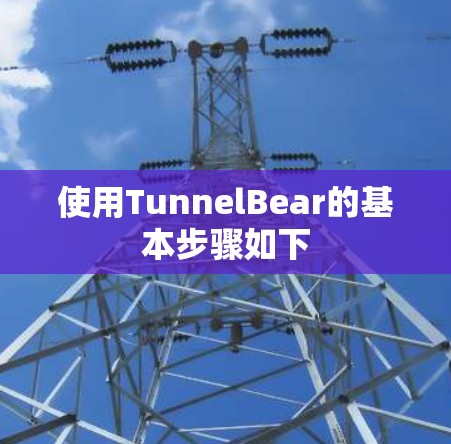 使用TunnelBear的基本步骤如下