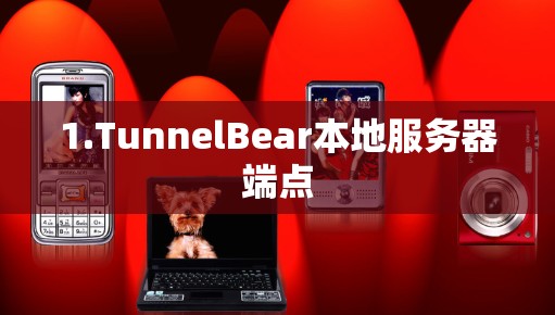 1.TunnelBear本地服务器端点 1.TunnelBear本地服务器端点