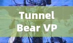 TunnelBear VPN,安全且高效的安卓版VPN解决方案 TunnelBear VPN,安全且高效的安卓版VPN解决方案