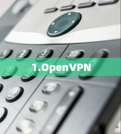 1.OpenVPN 1.OpenVPN