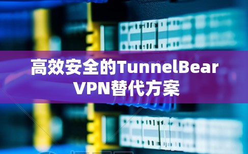 高效安全的TunnelBear VPN替代方案 高效安全的TunnelBear VPN替代方案