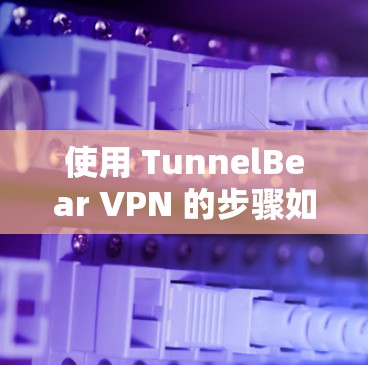 使用 TunnelBear VPN 的步骤如下 使用 TunnelBear VPN 的步骤如下