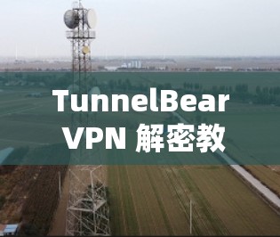 TunnelBear VPN 解密教程 TunnelBear VPN 解密教程