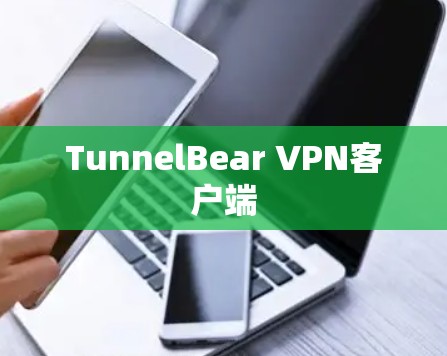 TunnelBear VPN客户端 TunnelBear VPN客户端