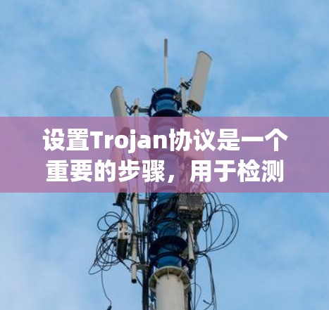 设置Trojan协议是一个重要的步骤，用于检测和修复虚拟机的安全漏洞。以下是详细的操作步骤