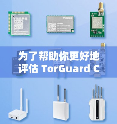 为了帮助你更好地评估 TorGuard China 的VPN服务，以下是一些详细的分析和建议
