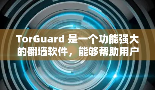 TorGuard 是一个功能强大的<strong>翻墙</strong>软件，能够帮助用户通过普通互联网访问国外网站，但需要了解其具体功能、性能、安全性和适用场景。以下是对 TorGuard 的详细分析