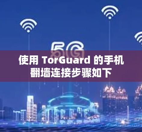 使用 TorGuard 的手机<strong>翻墙</strong>连接步骤如下
