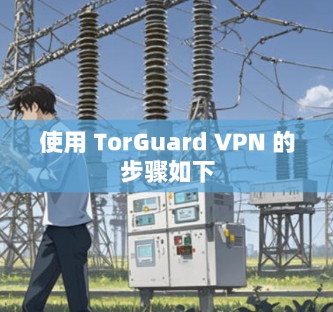 使用 TorGuard VPN 的步骤如下 使用 TorGuard VPN 的步骤如下