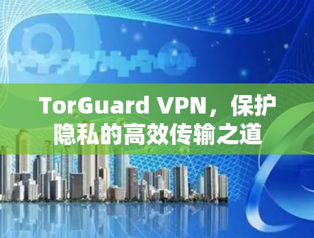 TorGuard VPN,保护隐私的高效传输之道 TorGuard VPN,保护隐私的高效传输之道