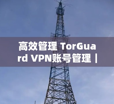 高效管理 TorGuard VPN账号管理|使用指南 高效管理 TorGuard VPN账号管理|使用指南