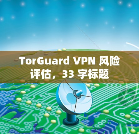 TorGuard VPN 风险评估，33 字标题