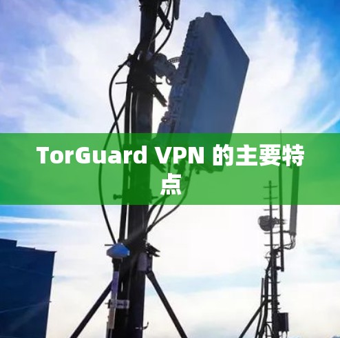 TorGuard VPN 的主要特点
