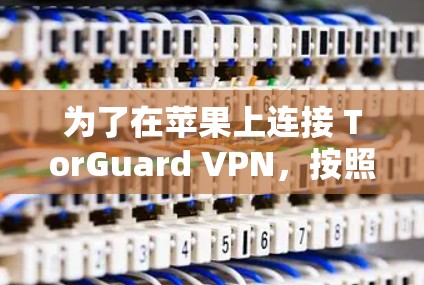 为了在苹果上连接 TorGuard VPN，按照以下步骤操作