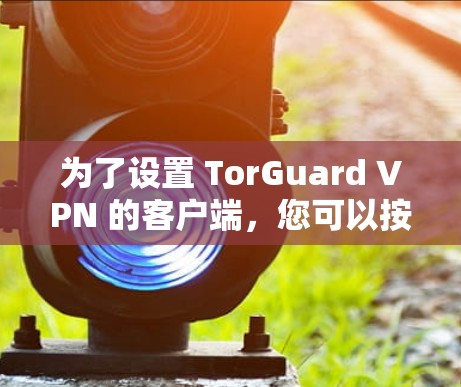 为了设置 TorGuard VPN 的客户端，您可以按照以下步骤进行