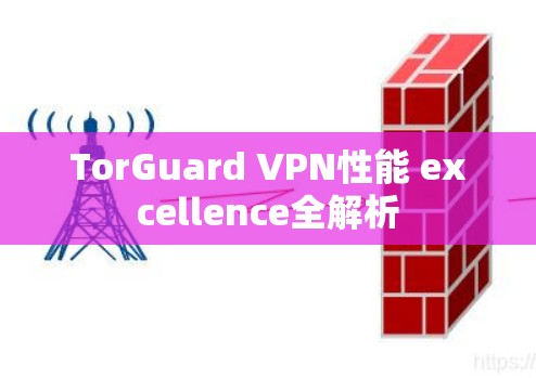 TorGuard VPN性能 excellence全解析