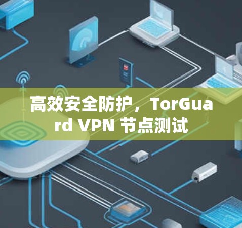 高效安全防护，TorGuard VPN 节点测试