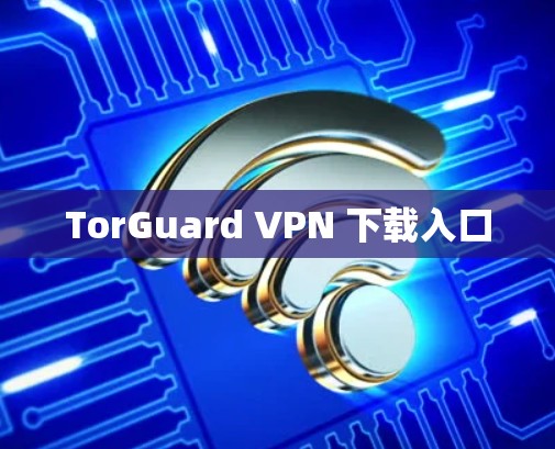 TorGuard VPN 下载入口 TorGuard VPN 下载入口