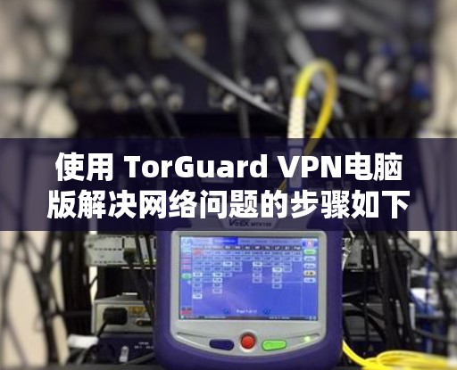 使用 TorGuard VPN电脑版解决网络问题的步骤如下
