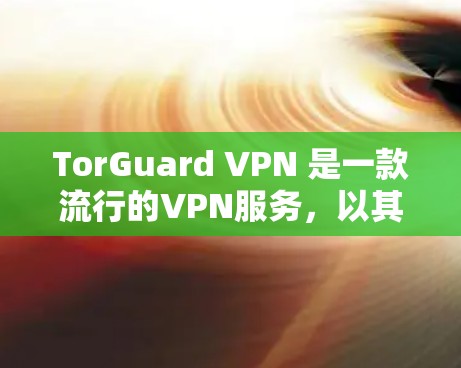 TorGuard VPN 是一款流行的VPN服务，以其强大的加密、端块链和多因素认证等安全措施著称。以下是一些推荐的安全线路和使用建议，帮助您更好地使用 TorGuard VPN