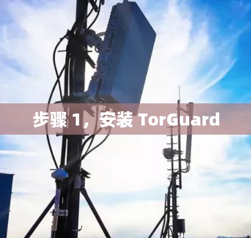 步骤 1，安装 TorGuard