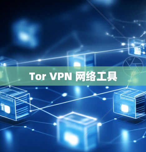 Tor VPN 网络工具