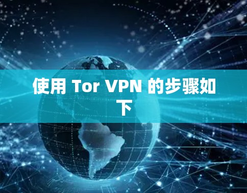 使用 Tor VPN 的步骤如下 使用 Tor VPN 的步骤如下