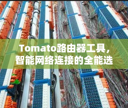 Tomato路由器工具,智能网络连接的全能选择 Tomato路由器工具,智能网络连接的全能选择