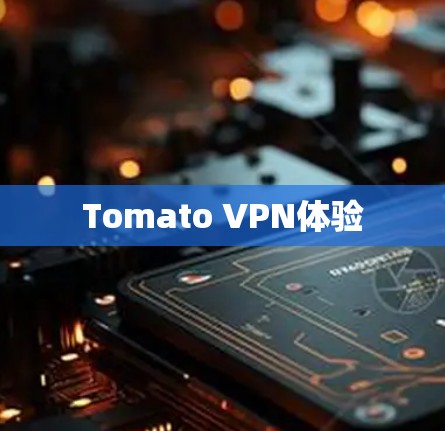 Tomato VPN体验