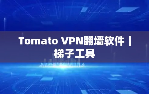 Tomato VPN翻墙软件|梯子工具 Tomato VPN翻墙软件|梯子工具
