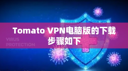 Tomato VPN电脑版的下载步骤如下