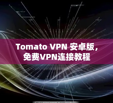 Tomato VPN 安卓版,免费VPN连接教程 Tomato VPN 安卓版,免费VPN连接教程