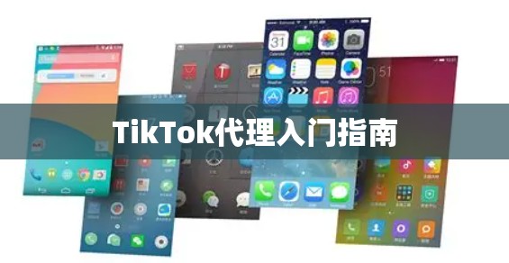 TikTok代理入门指南 TikTok代理入门指南